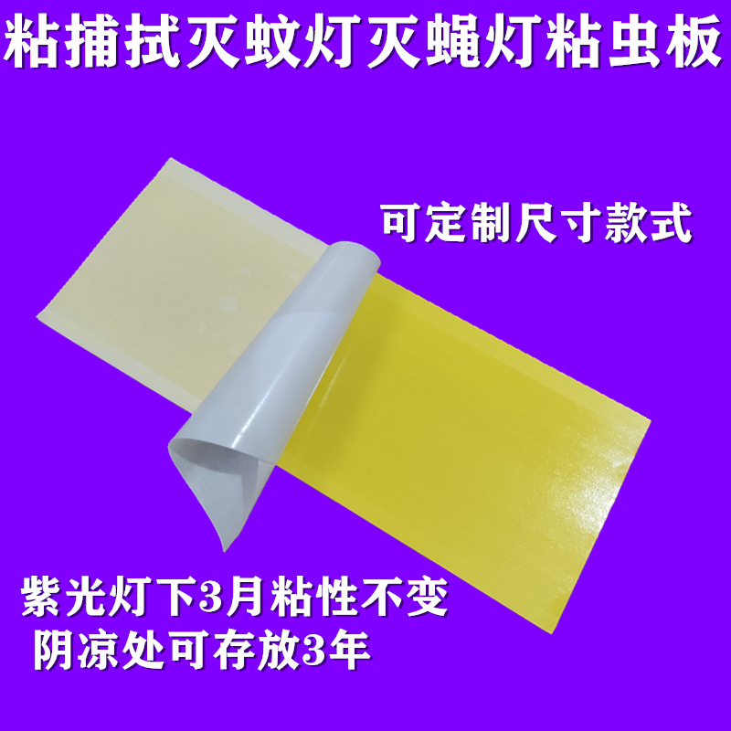 import细节图