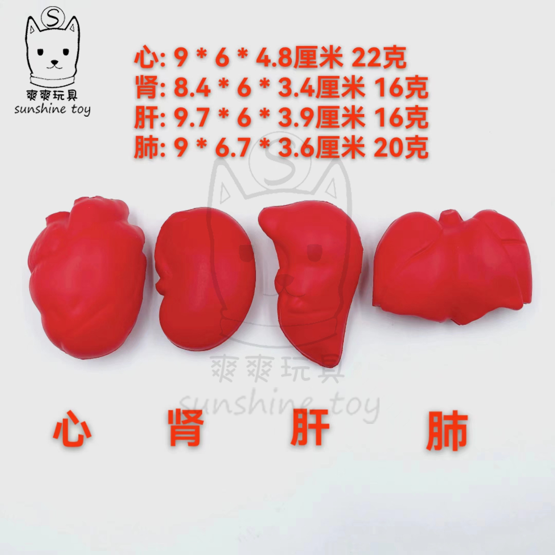 Factory direct sales of PU foam simulation human body accessories, medical teaching AIDS, heart, liver, lung and kidney decompression toys, printed logos pic 1