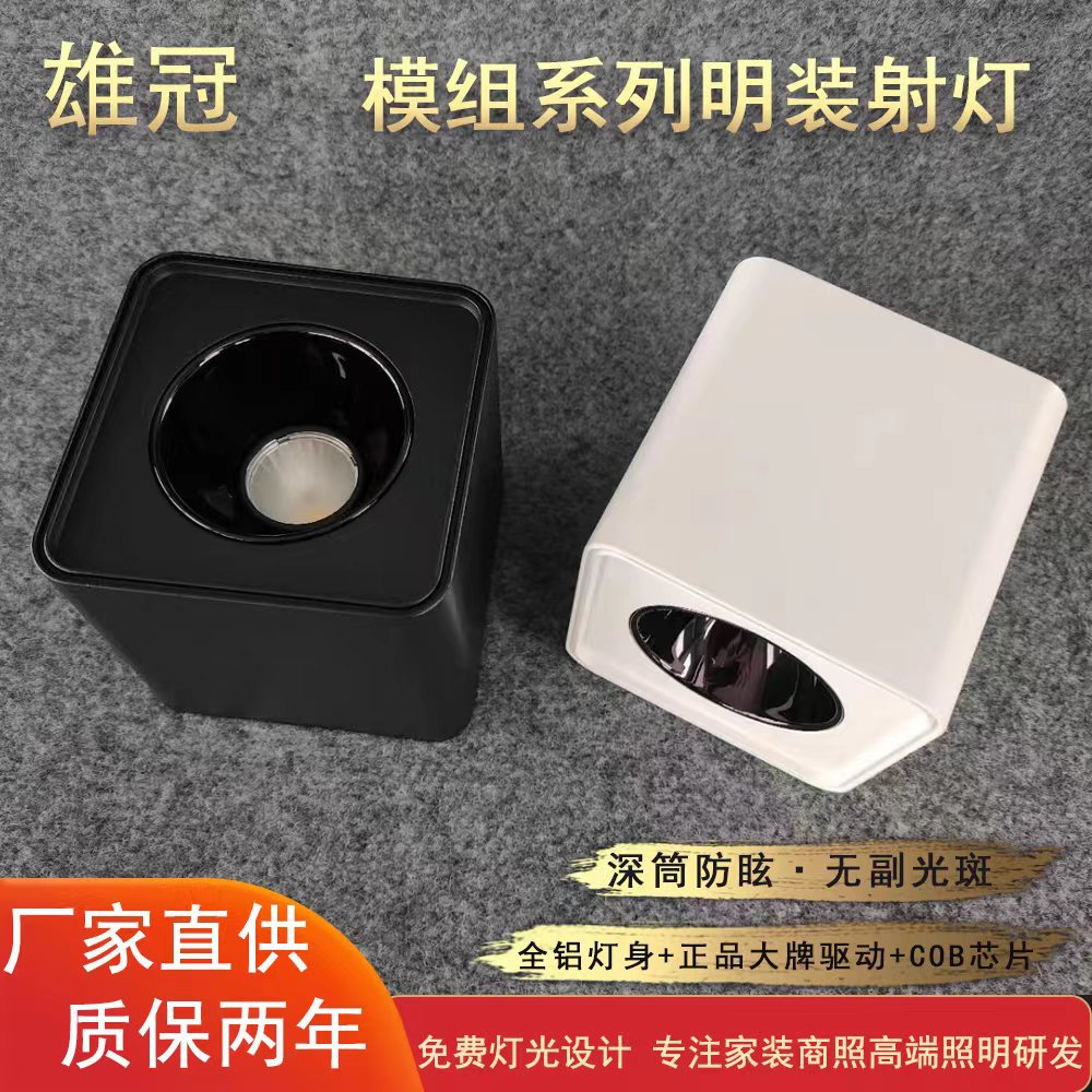 Open-mounted double-head spot light grille light household no main light three-head four-head gall light living room ceiling anti-glare downlight