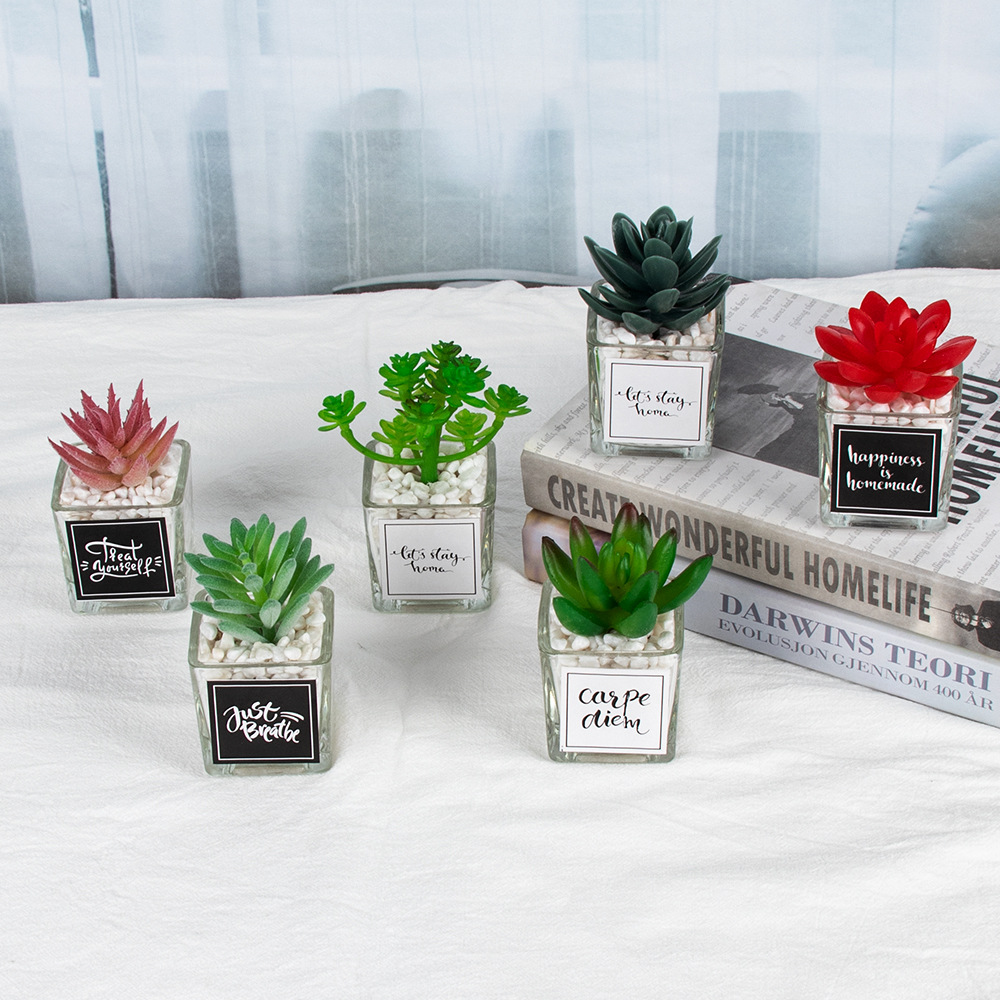 Cross-border home decoration mini potted plant combination, desktop glass stickers, simulated succulent bonsai ornaments, small green plants Specification image