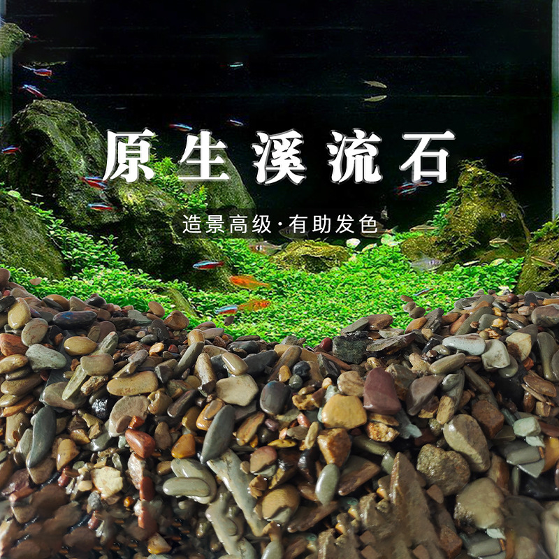 原生鱼缸造景底砂溪流石水草龟缸雷龙鱼草南美缸装饰铺底  溪流砂