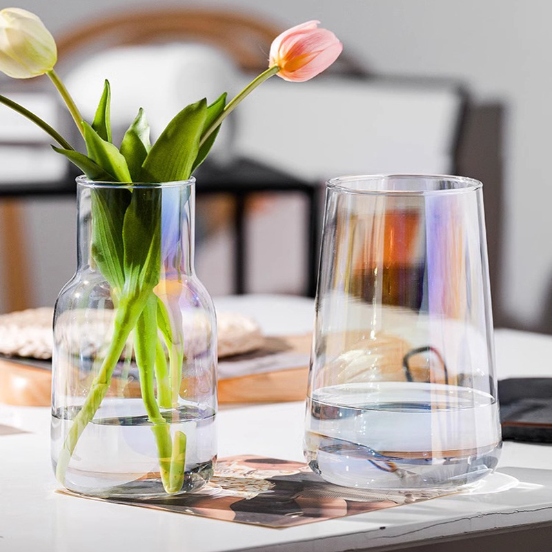 European Modern Simple Transparent Advanced Sense Vase Household Hydroponic Flower Arrangement Living Room Tabletop Decoration Ins Wind Flowerpot Specification drawing