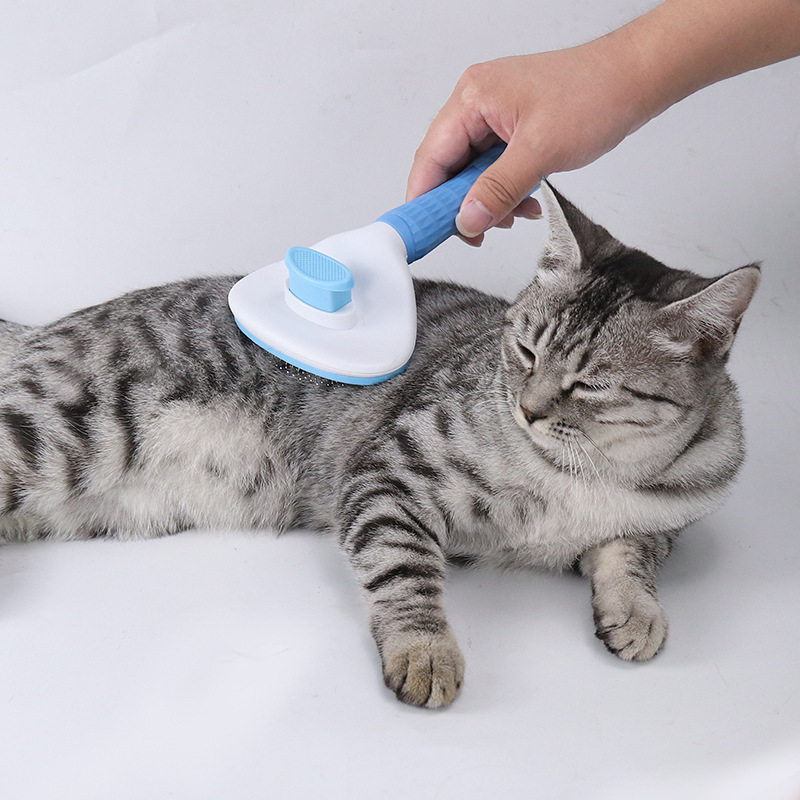 Amazon's best-selling pet supplies: automatic depilation comb, metal cat knot comb, and pet cat comb details Picture