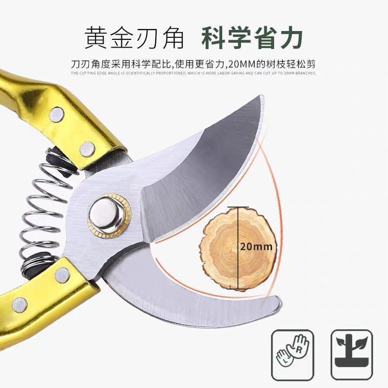 import产品图