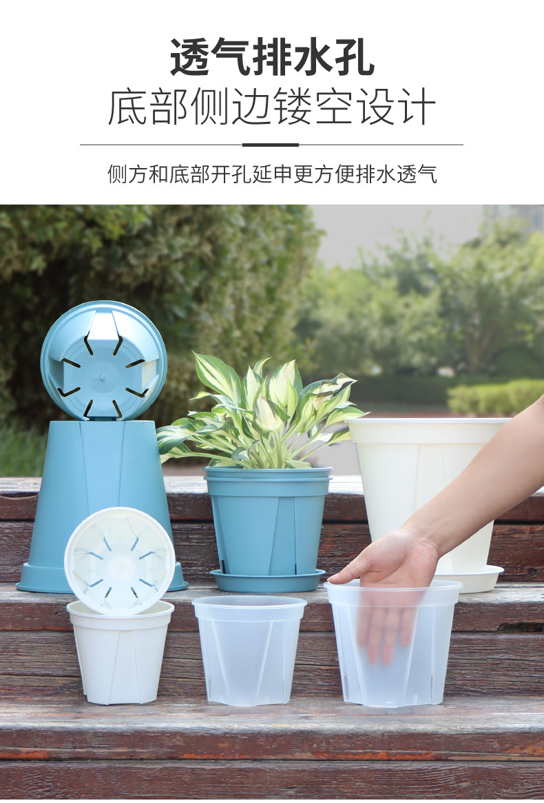 控根透气花盆批发 加仑盆秋海棠兰花盆 多肉花盆种花盆透明青山盆详情4