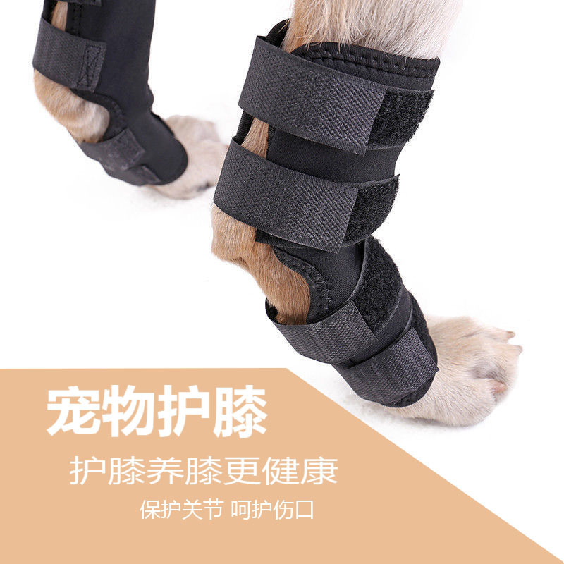 Pet knee pads, dog injury protection covers, pet surgery recovery joint protection leg guards, durable pet supplies details Picture