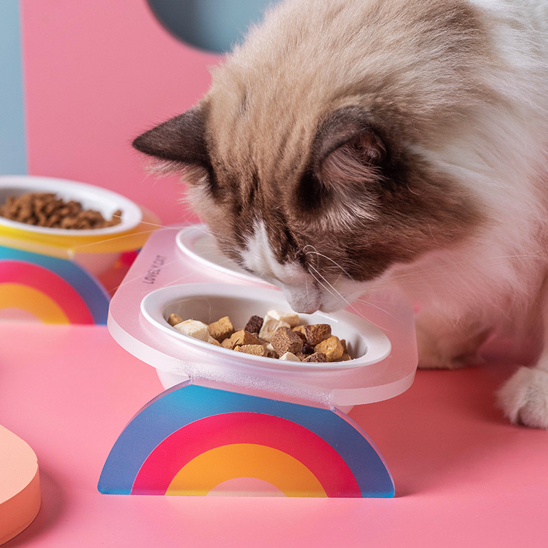 猫猫食具实物图