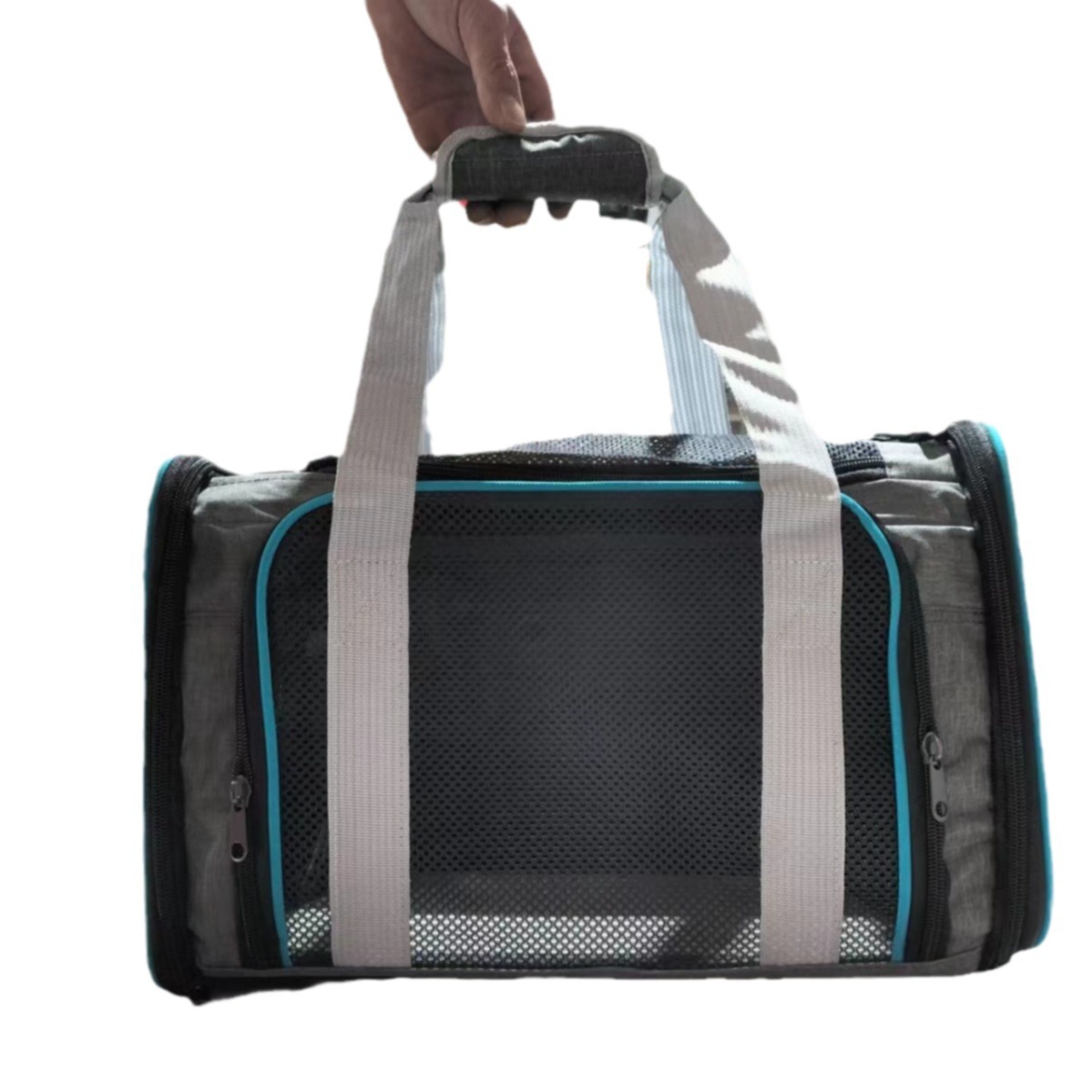 import白底实物图