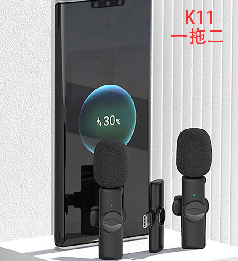 专业话筒实物图