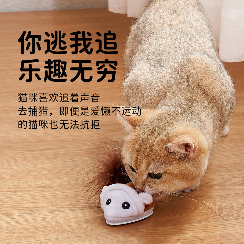 猫猫玩具实物图