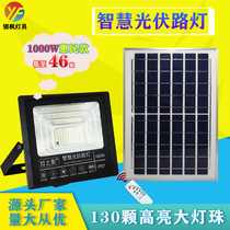 Wholesale 1000w new rural LED solar garden street lights for household and outdoor lighting