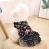 Summer new cool and cute dog dress, fashionable lace small floral cat dress details Picture