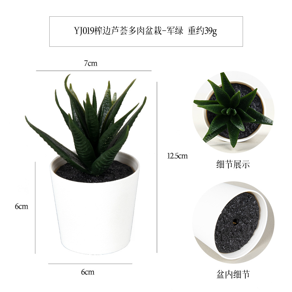 Amazon set of simulation succulent three-piece set with PVC box home decoration simulation plant potted plant gift Specification image