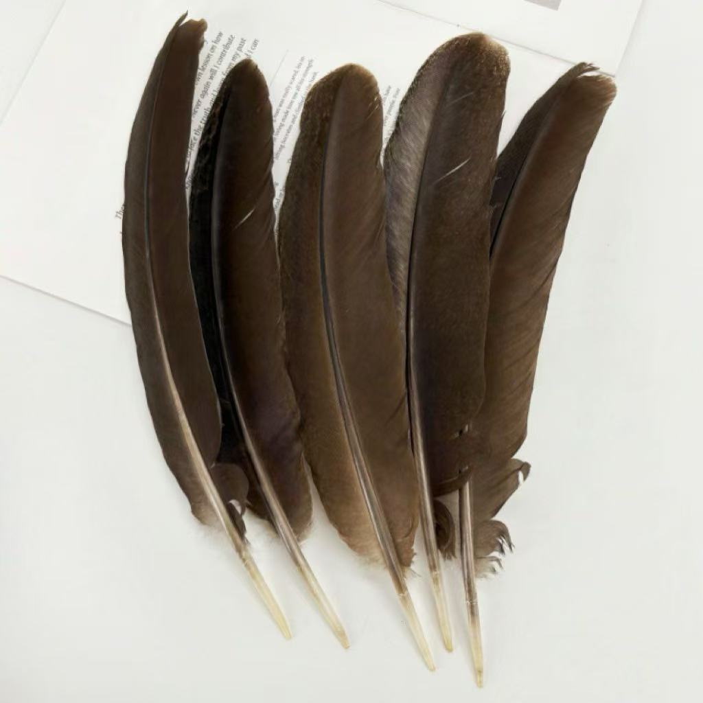 羽毛、羽绒实物图