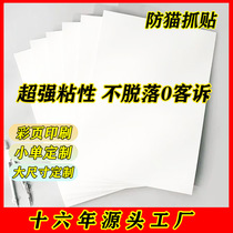 Anti-cat scratch sticker Anti-cat scratch sticker pvc transparent sofa sticker anti-scratch sticker for pet cats and dogs