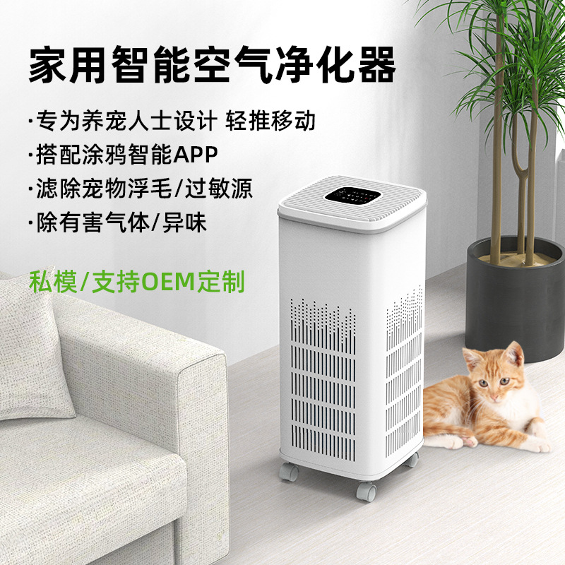 Daifa Nobik Vertical Household Smart Air Purifier, Indoor Formaldehyde Removal, Pet Hair Sterilization And Disinfection Machine Item Picture