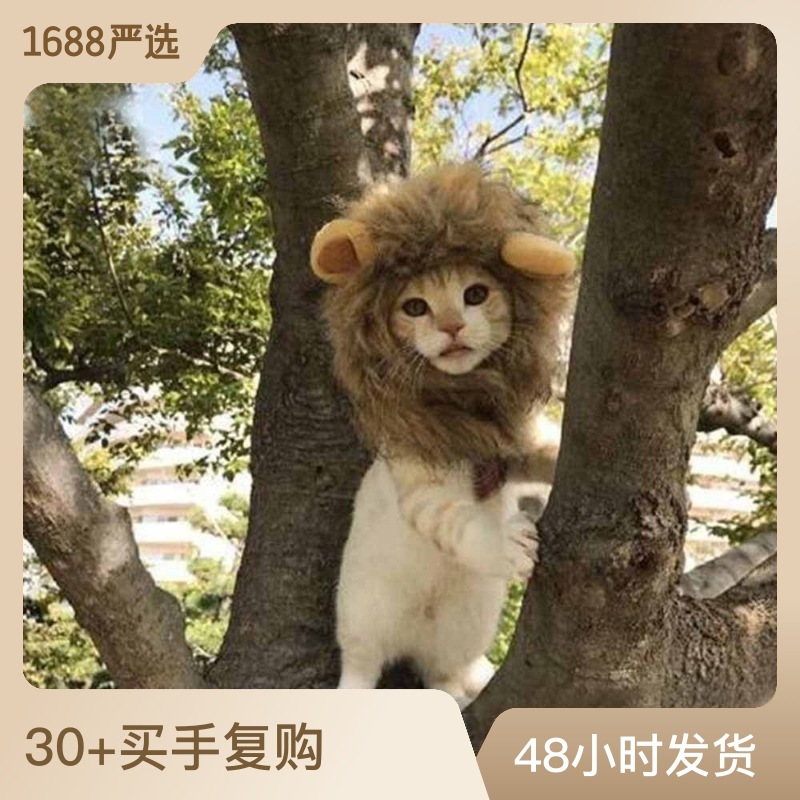Halloween Dress Up Cats And Dogs Selling Cute Universal Adjustable Velcro Autumn And Winter Lion Pet Hat