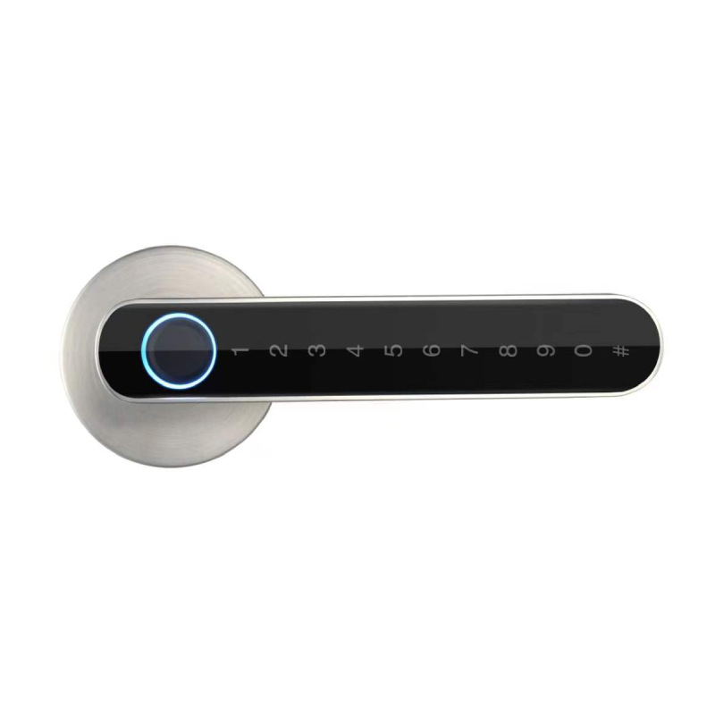 Smart Fingerprint Lock Manufacturers Support Graffiti All Smart Lock Apartment Home Anti-Theft Password Door Fingerprint Lock Application Scenario
