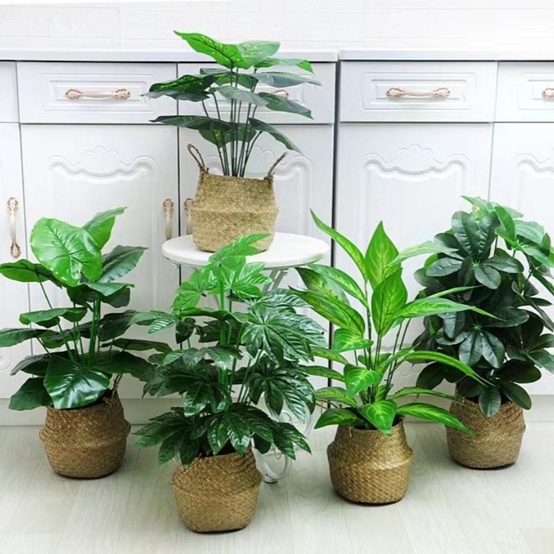 胶布仿真龟背叶办公室内橱窗造景装饰仿真绿萝植物剑兰绿植假盆栽