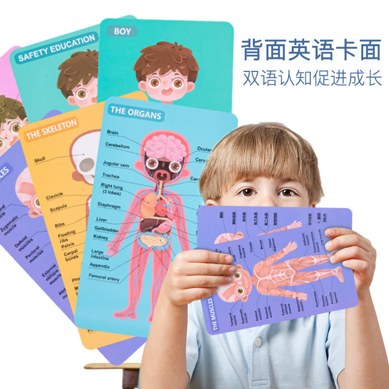 科教玩具实物图