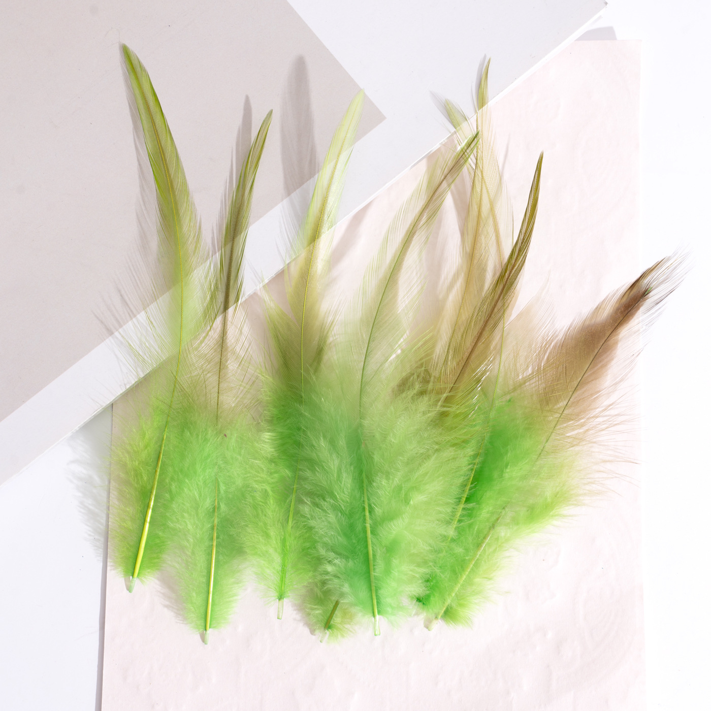 羽毛/羽绒/森尔服装/鸵鸟毛/羽毛布带白底实物图