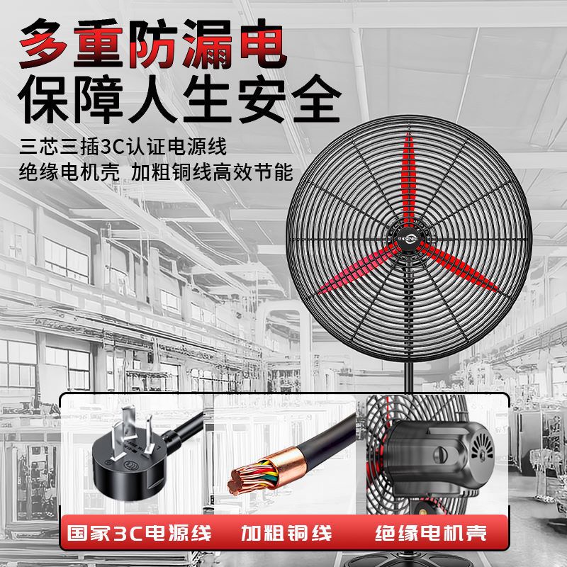 import细节图
