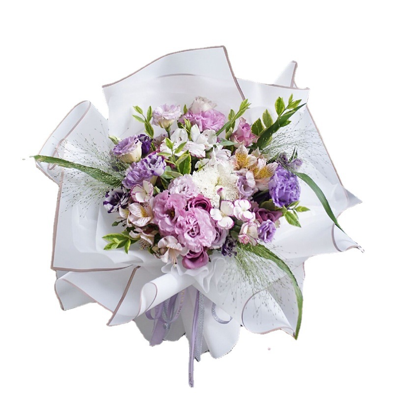 import白底实物图