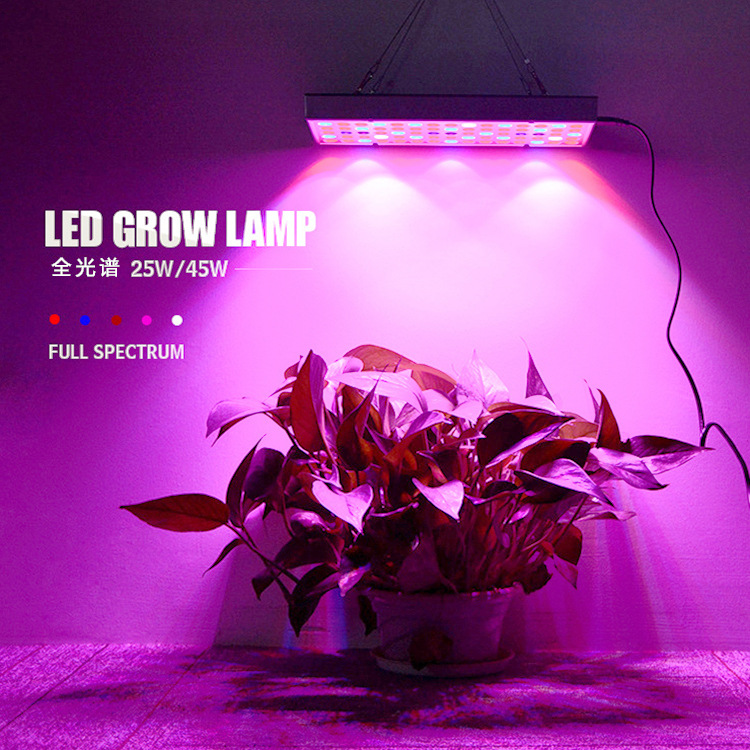 Xianniu LED plant growth light full spectrum indoor fill light greenhouse growth light manufacturers greenhouse balcony seedling