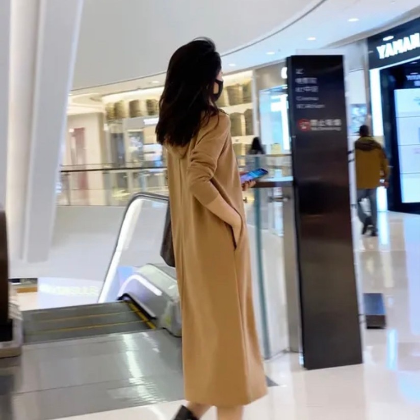 European high-end style hooded mid-length knee-length sweatshirt dress 2021 autumn loose casual dress for women Specification image