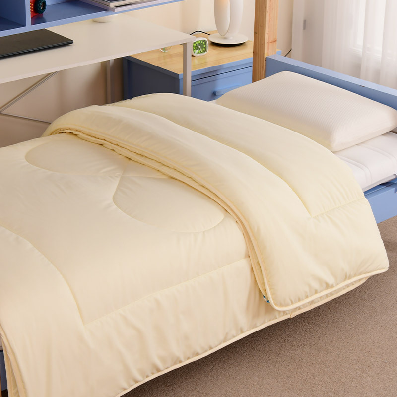 Students Fiber Quilt 1.5M Dormitory Single Bed Autumn And Winter Warm Four Seasons Quilt Core details Picture