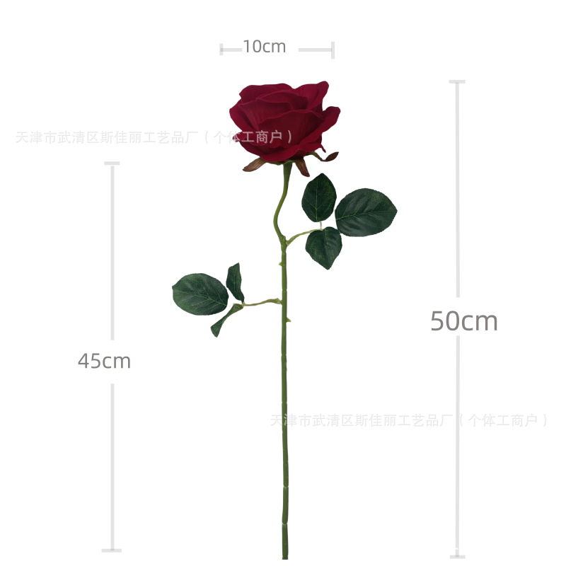 仿真花/永生花/多肉仿真花/假花/教师节白底实物图
