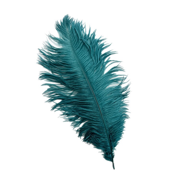 羽毛/羽绒/森尔服装/鸵鸟毛/羽毛布带白底实物图