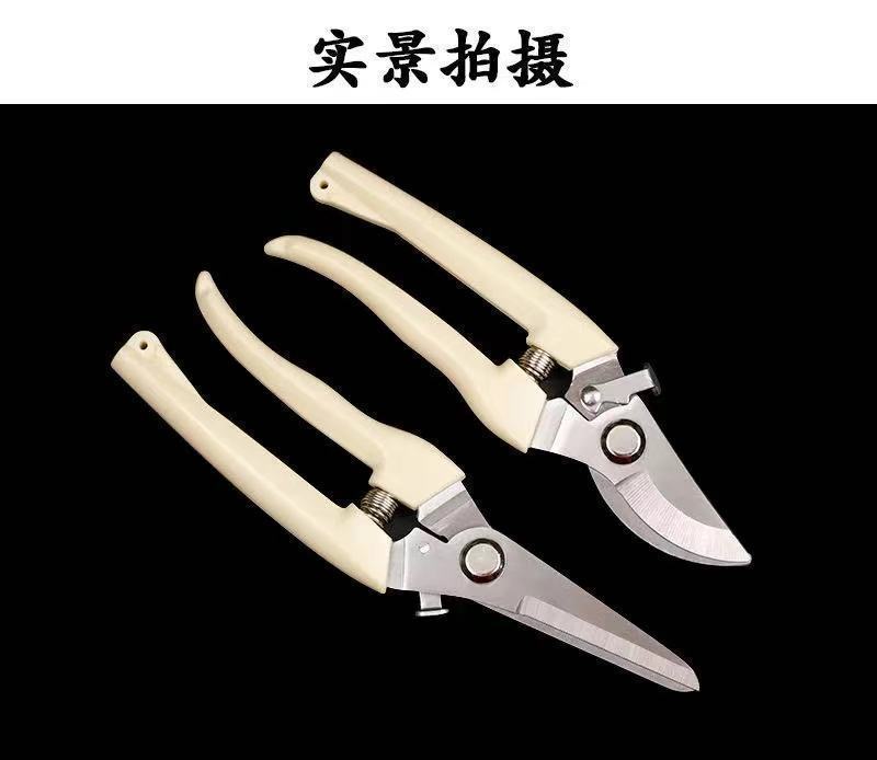 强力不锈钢修枝剪多功能园艺剪刀果园摘果剪子园林树枝剪工具剪详情10