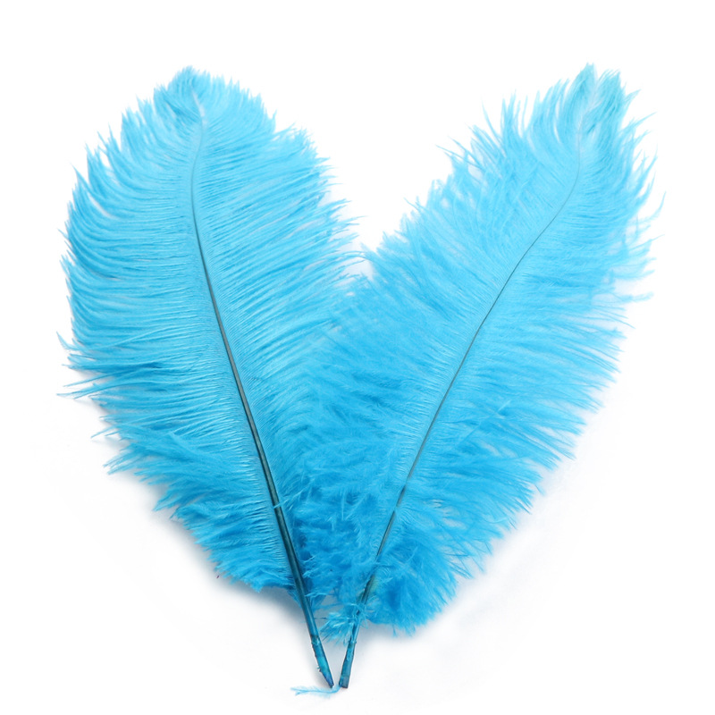 天然珍珠/超粗毛条/蛋糕插枝/孔雀羽毛/彩色羽毛白底实物图