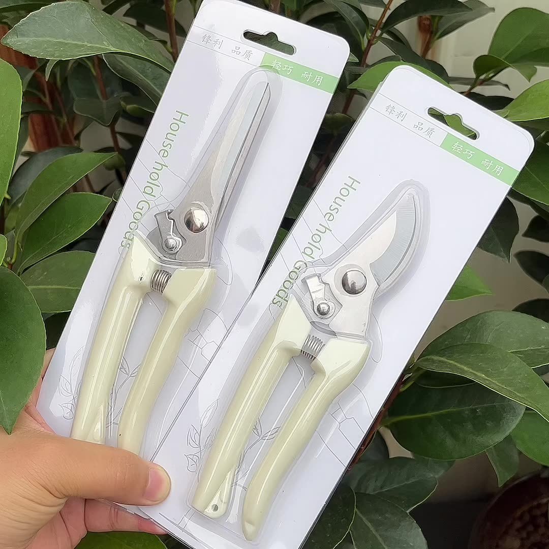 import产品图