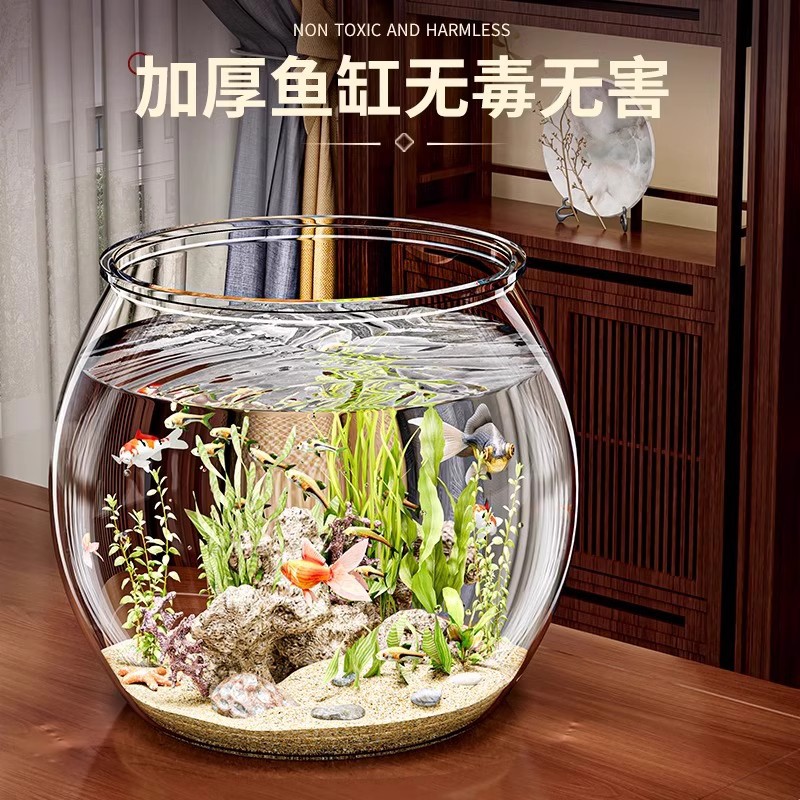 import产品图