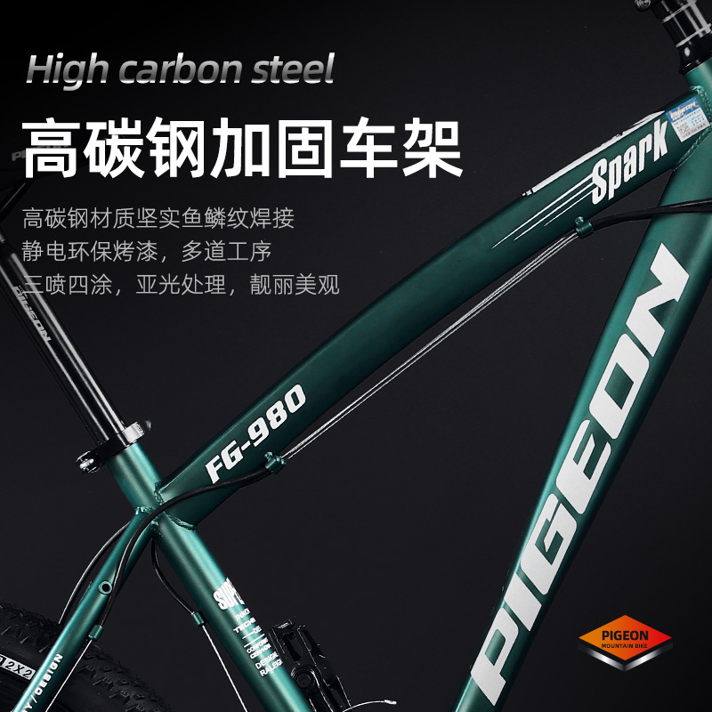 Flying Pigeon Bike 24 Inch Off-Road Variable Speed Mountain Bike Male Outdoor Sports Road Bike Student Cycling Bike Wholesale details Picture