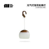 Explorers Outdoor Camping light Dynamic lantern Flower pine cone light camp atmosphere light three gear adjustment for long life