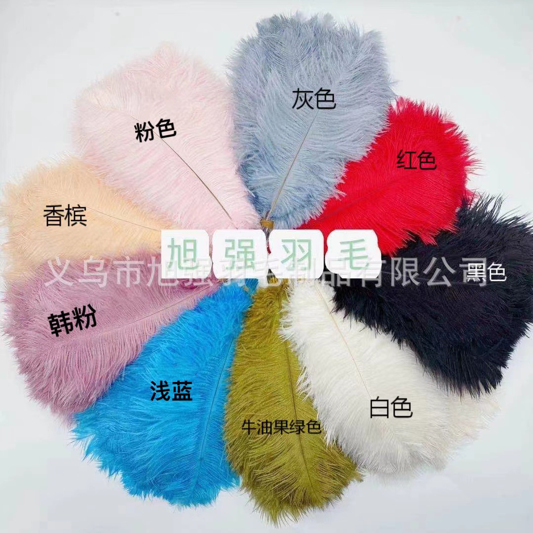 外贸专供鸵鸟毛25-30cm彩色服装羽毛辅料 多色婚庆插画羽毛批发