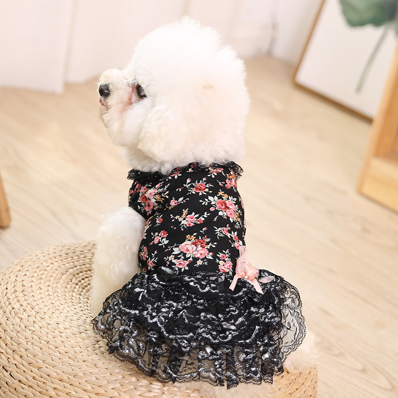Summer new cool and cute dog dress, fashionable lace small floral cat dress