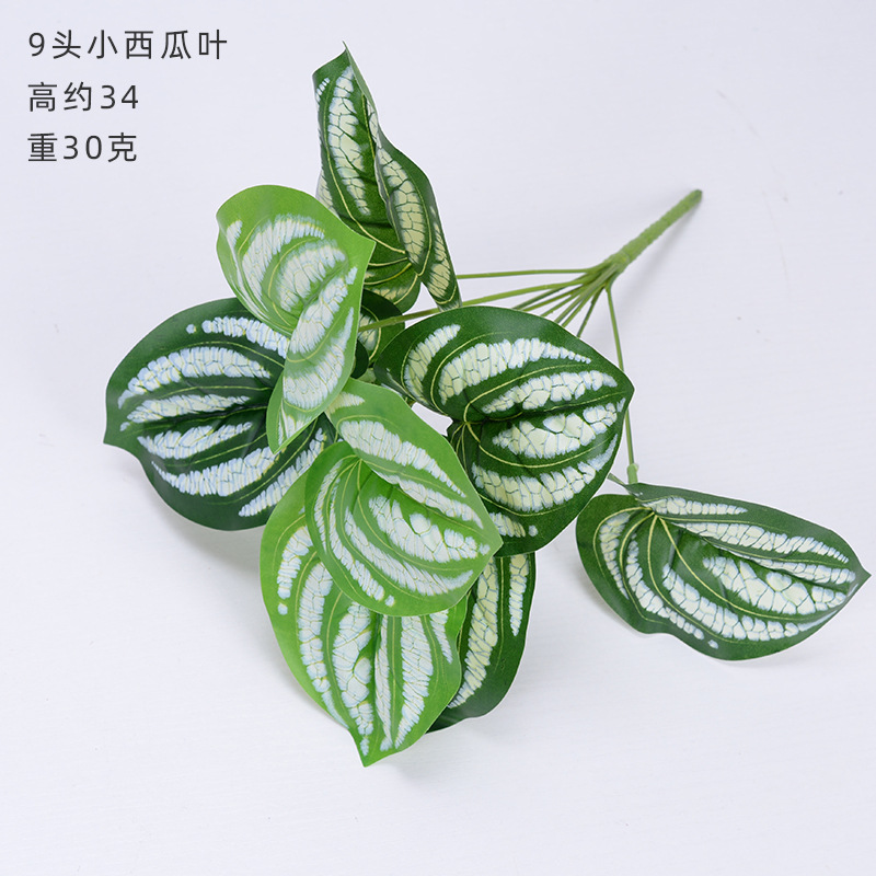 仿真植物 绿植盆栽 植物墙配材装饰 仿真叶子过胶绿萝波斯叶 假草详情图3