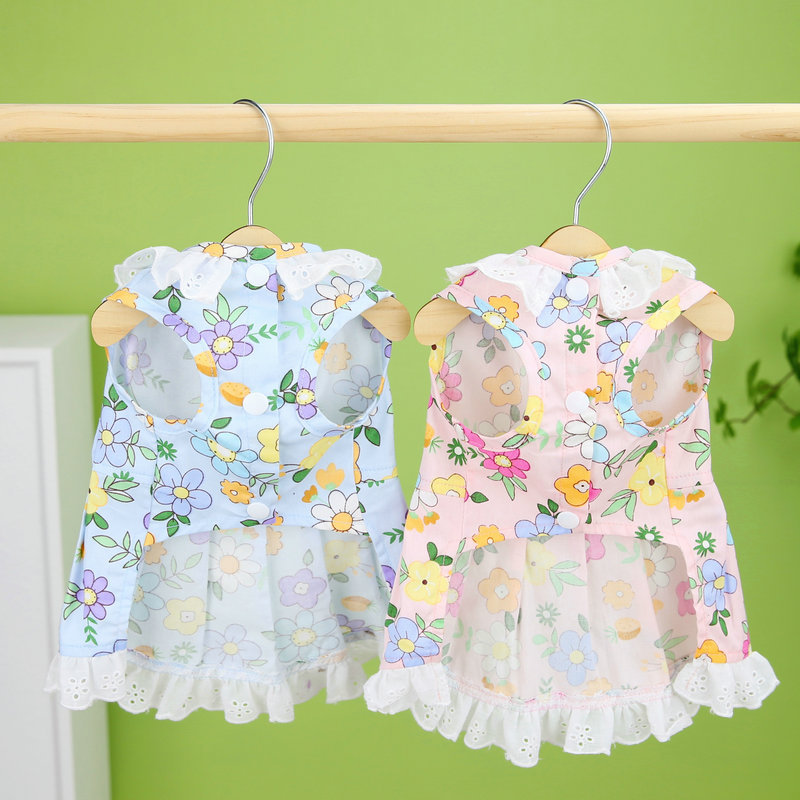 狗衣服白底实物图
