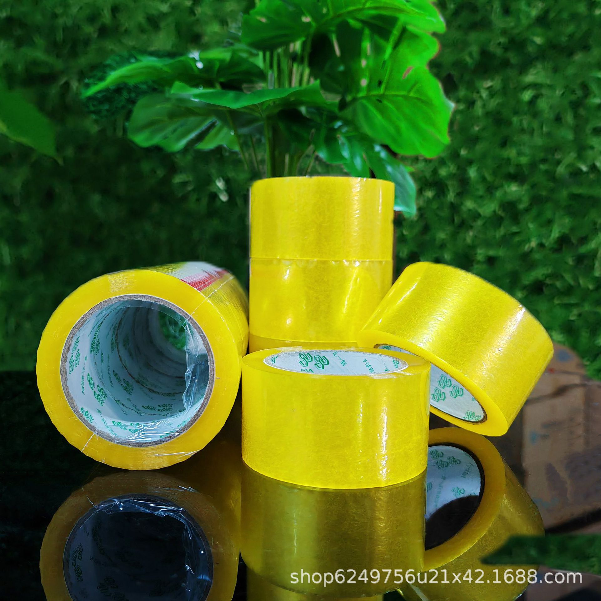 封装打包胶带实物图