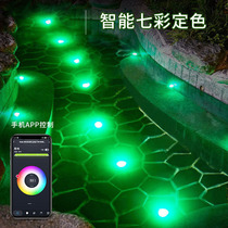 Solar aquarium light Outdoor buried colorful landscape outdoor spotlight Fish pond light pool light underwater light underwater light