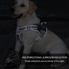 Pet chest and back strap explosion-proof camouflage print dog leash chest and back breathable and comfortable dog commuting pet chest and back Application Scenario