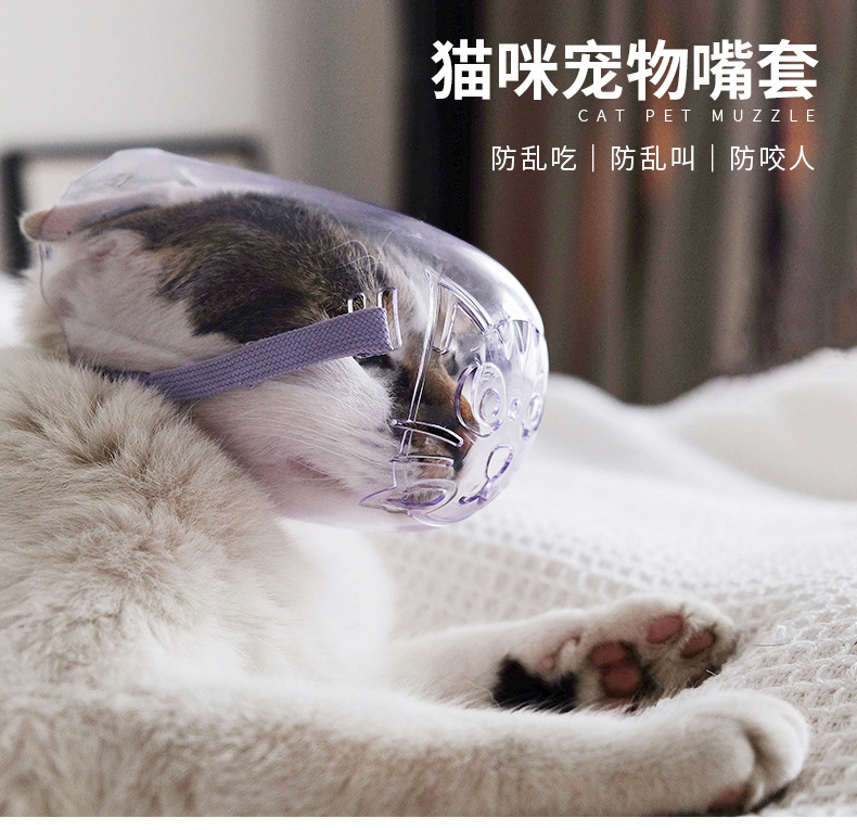 Pet muzzle Transparent bite proof cat headgear High-quality material durable going out dog muzzle Pet muzzle supplies full figure