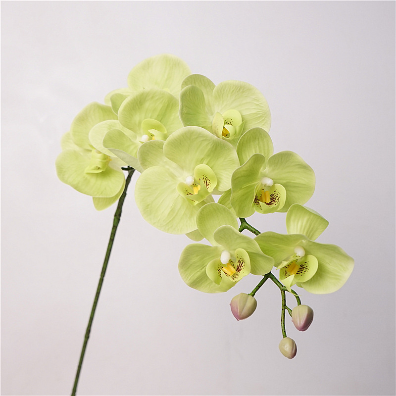 High Quality Artificial Flower Feel Phalaenopsis Home Sample Room Decoration Flower Arrangement Adornment Wedding Landscape Plastic Fake Flowers Specification drawing