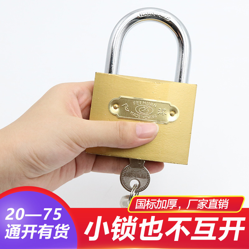 Feihuan brand through-opening padlock, interlocking lock, Internet cafe cabinet lock, electricity meter box lock, copper imitation lock, through-lock, cabinet lock, small lock head Application Scenario