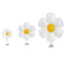 ins风小雏菊气球小红书推荐生日派对装饰白色鸡蛋花笑脸雏菊气球图