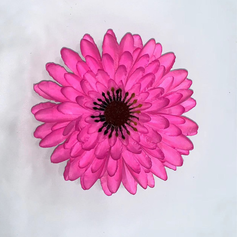 الازهار كبيرة ورخيصة جدا Specification image
